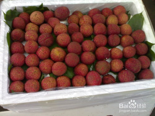 荔枝怎么挑選甜的